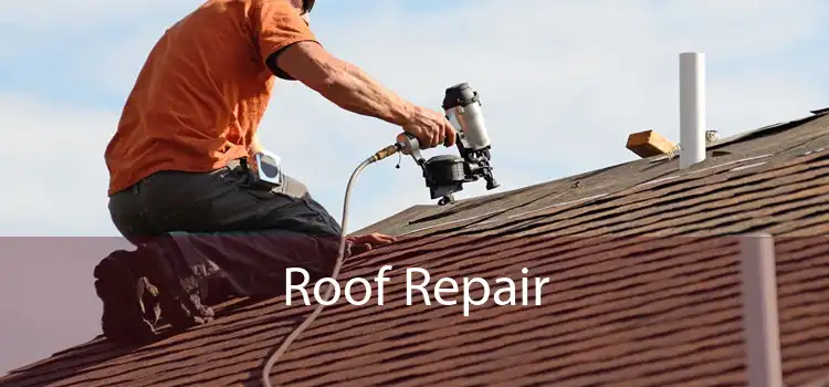 Roof Repair 