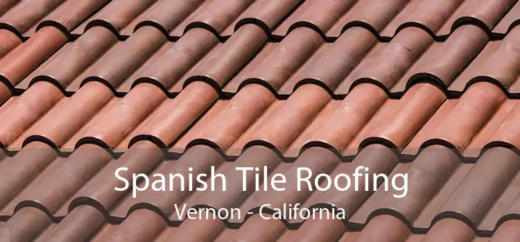 Spanish Tile Roofing Vernon - California