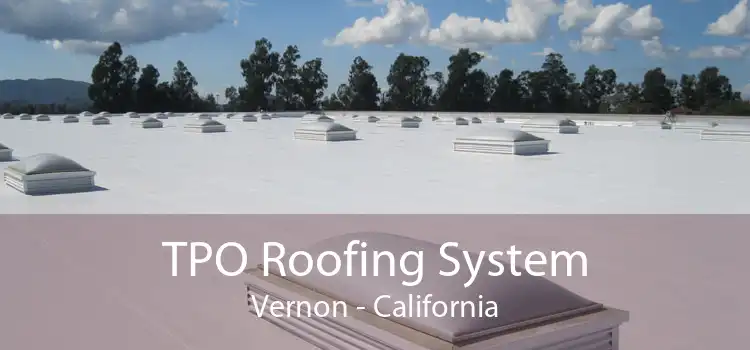 TPO Roofing System Vernon - California